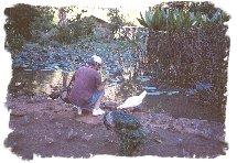 Mark Downey in the field