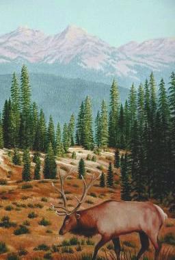 "Bull Shadows" original painting of an elk in the Rocky Mountains